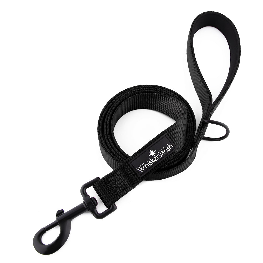 Leash