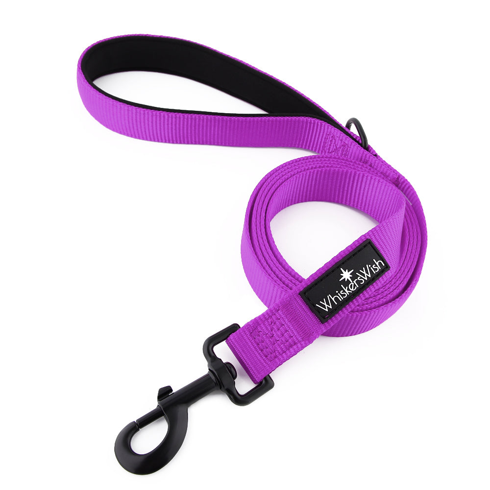 Leash