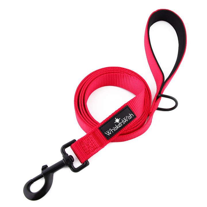 Leash
